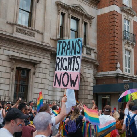 a person holding a "trans rights now" sign during an LGBTQ+ rights protest.