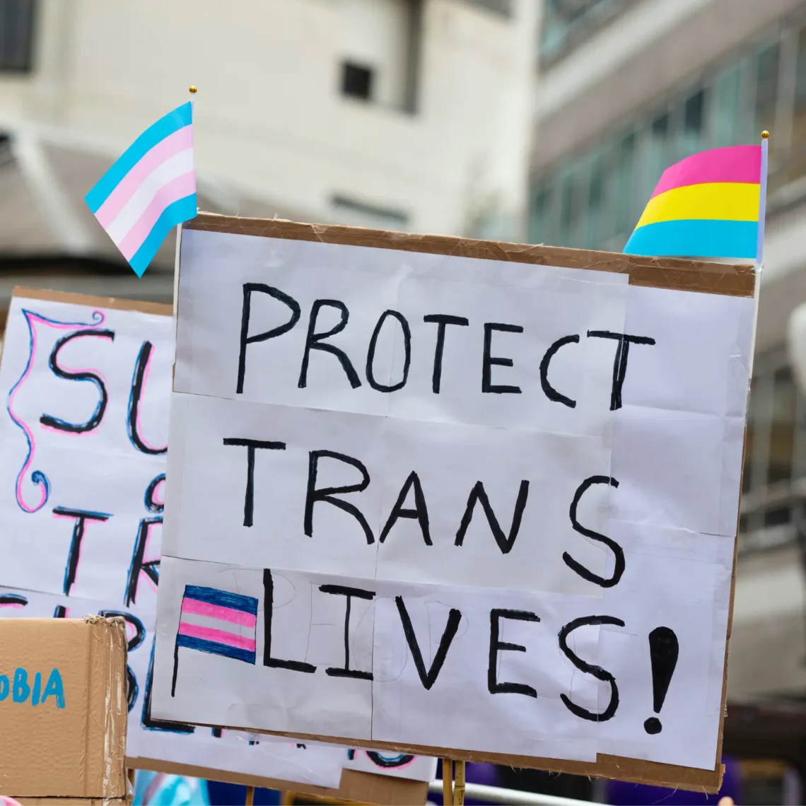 A sign at a protest that says "Protect Trans Lives!"