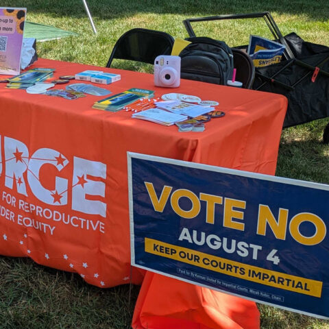 Kansas Vote No August 4